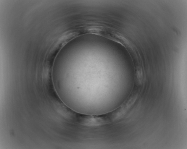 X0000115580379200911101153