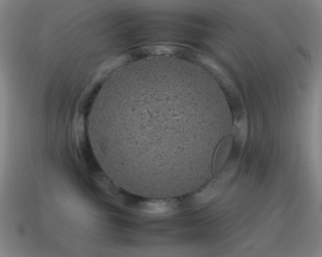 X0000115580381200911101153