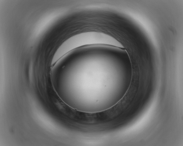 X0000115580382200911101153