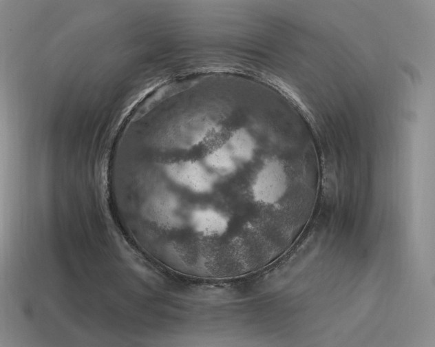 X0000115580386200911101153