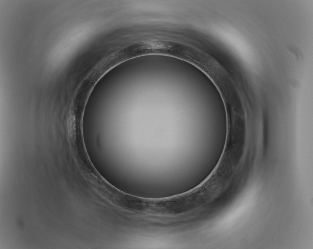 X0000115580387200911101153