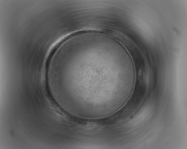 X0000115580388200911101153