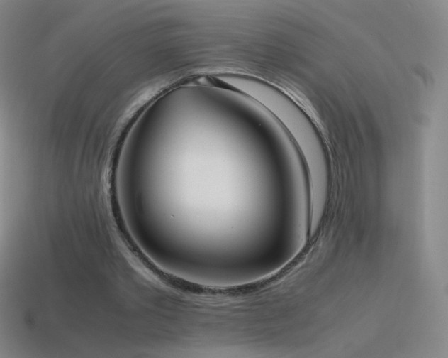 X0000115580389200911101153