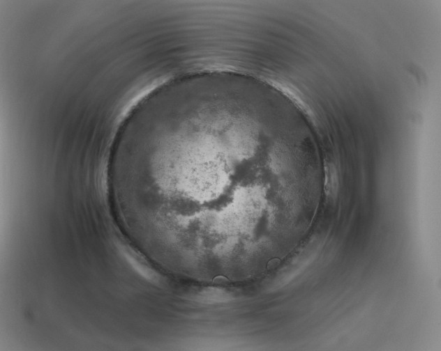 X0000115580390200911101153