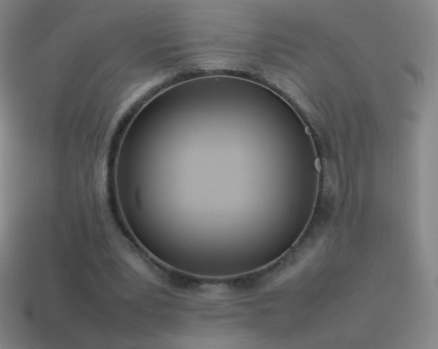 X0000115580391200911101153