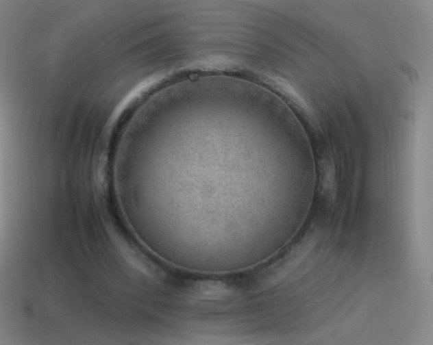 X0000115580392200911101153