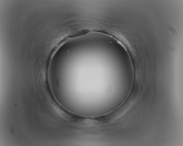 X0000115580393200911101153