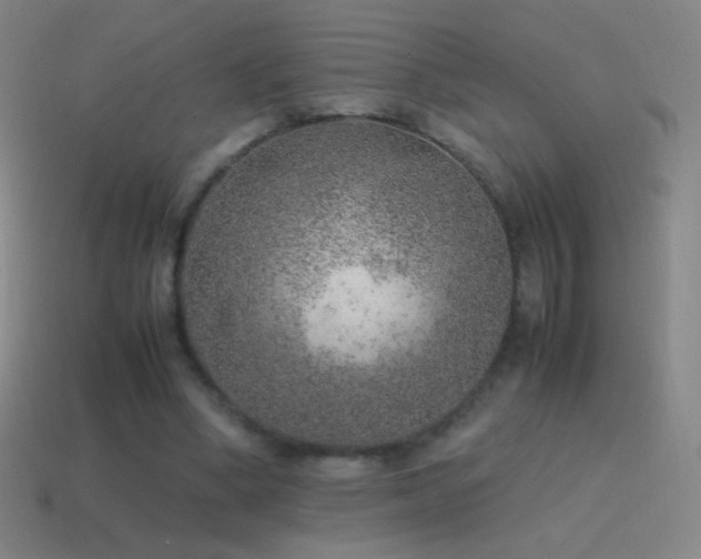 X0000115580394200911101153