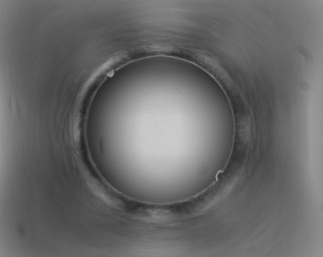 X0000115580395200911101153