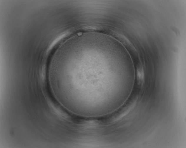 X0000115580396200911101153