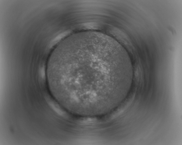 X0000115580398200911101152