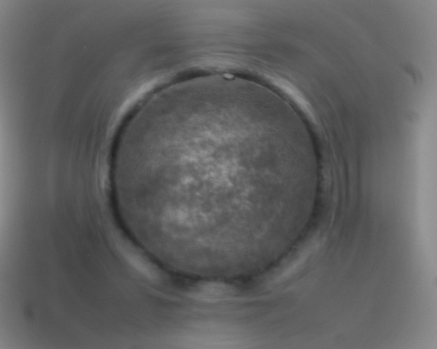 X0000115580399200911101152