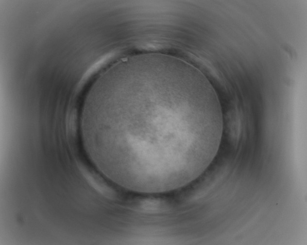 X0000115580400200911101152