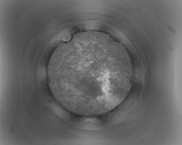 X0000115580401200911101152