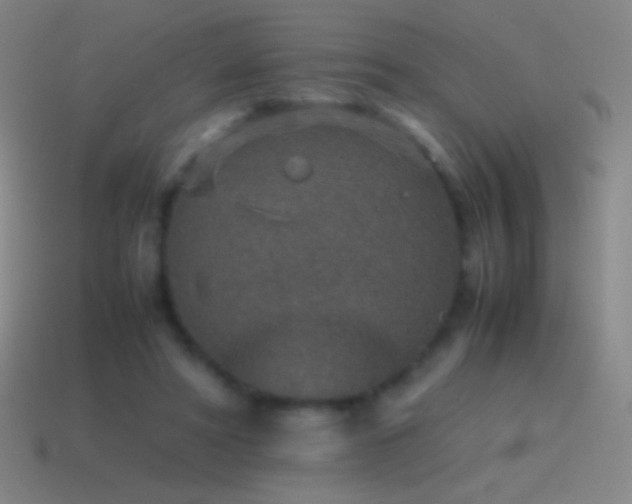 X0000115580402200911101152