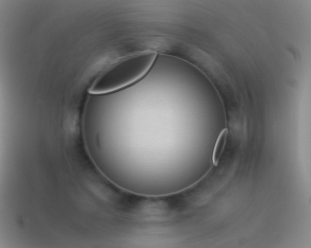 X0000115580403200911101152