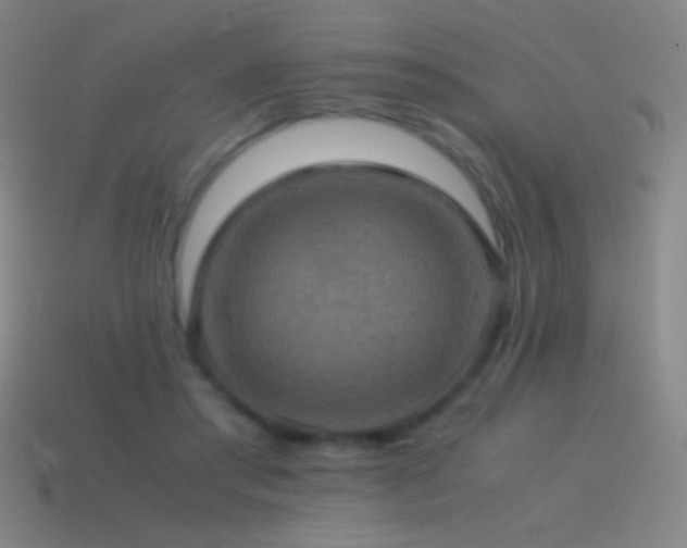 X0000115580405200911101152