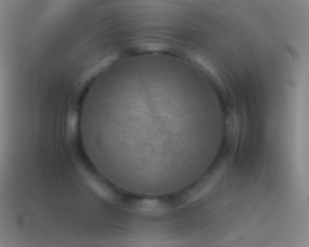 X0000115580406200911101152