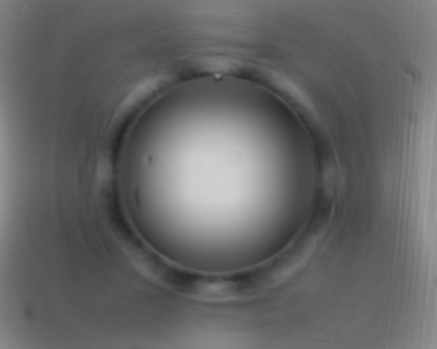 X0000115580407200911101152