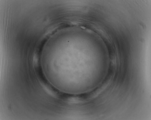 X0000115580408200911101152