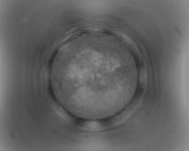 X0000115580409200911101152