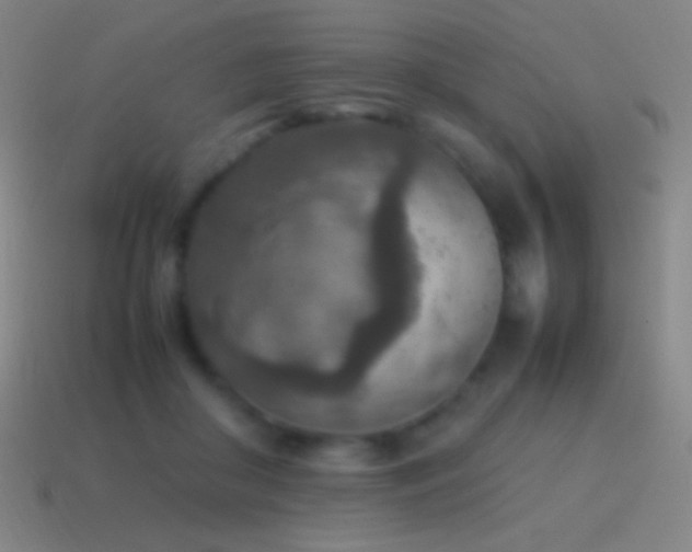 X0000115580410200911101152