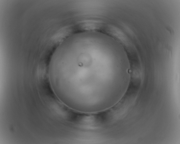 X0000115580411200911101152