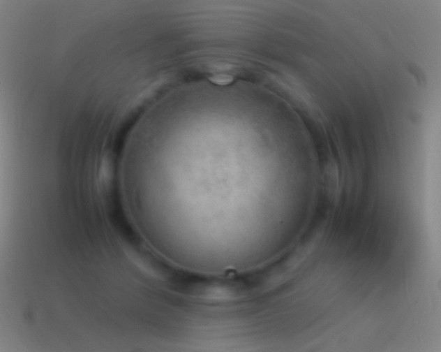 X0000115580412200911101152