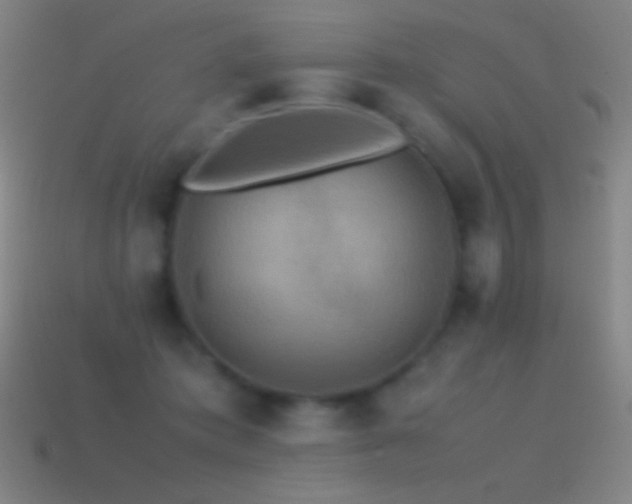 X0000115580413200911101152