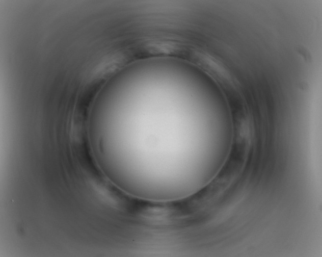 X0000115580414200911101152