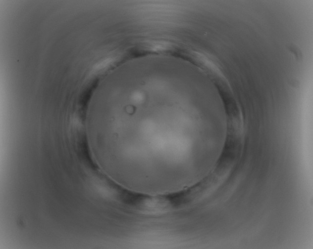 X0000115580415200911101152