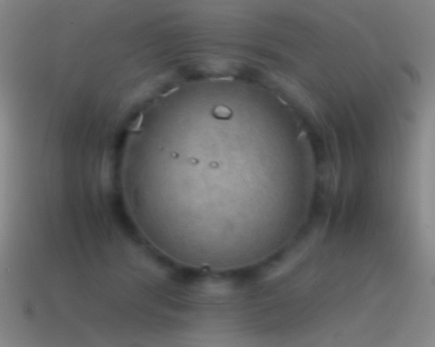 X0000115580416200911101152