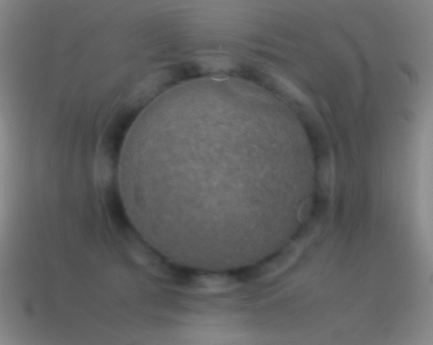 X0000115580417200911101152