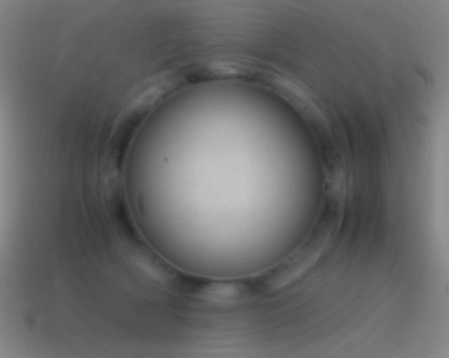 X0000115580418200911101152