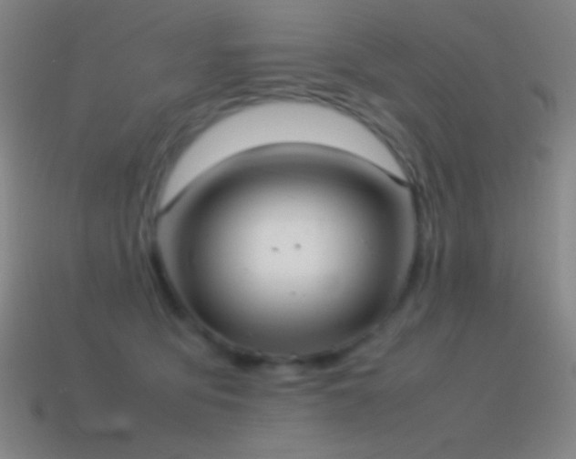 X0000115580419200911101152