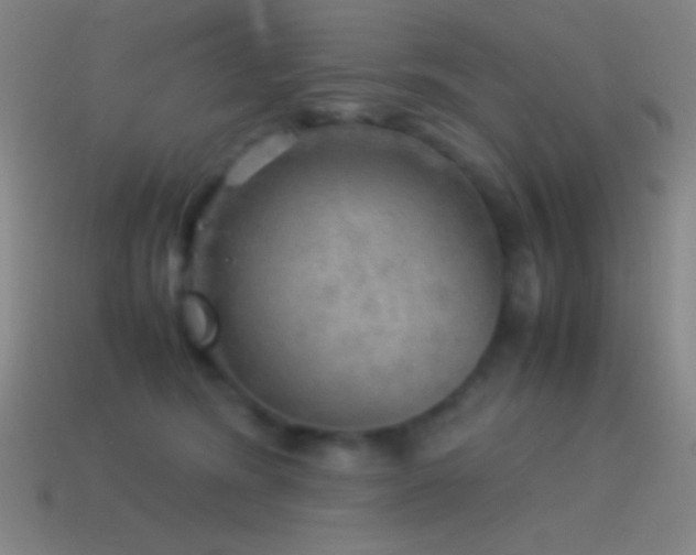 X0000115580420200911101152