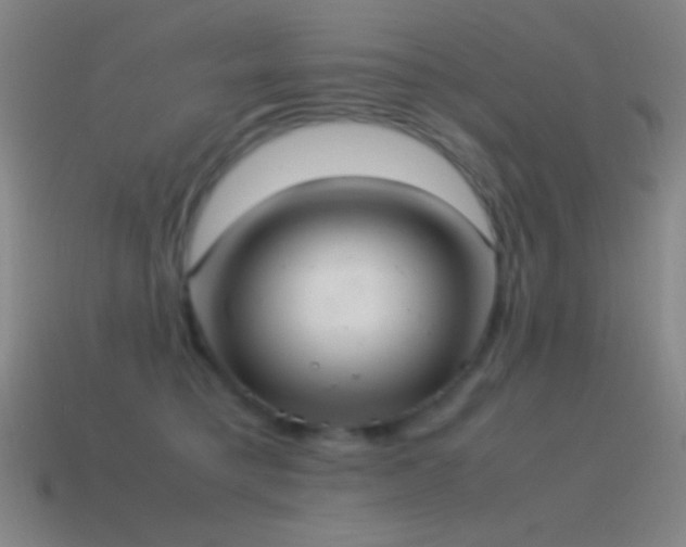 X0000115580421200911101152