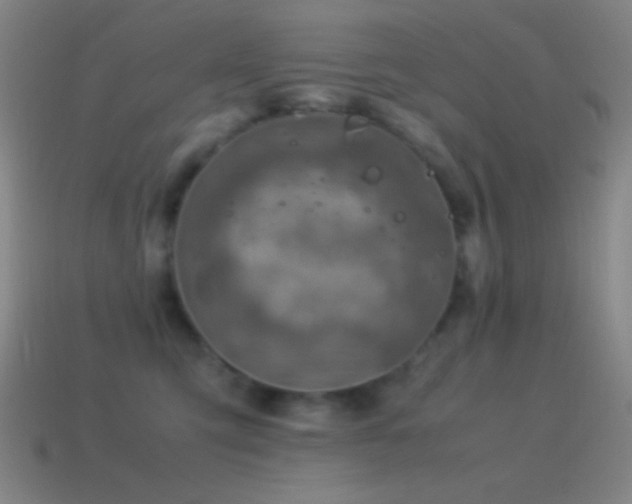 X0000115580423200911101152