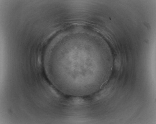 X0000115580424200911101152