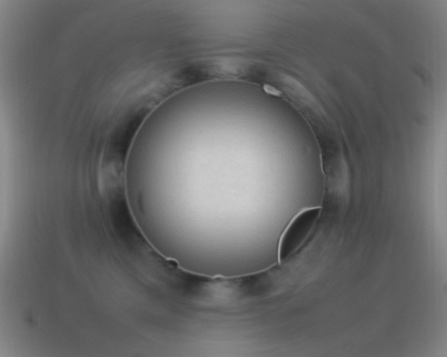 X0000115580425200911101152