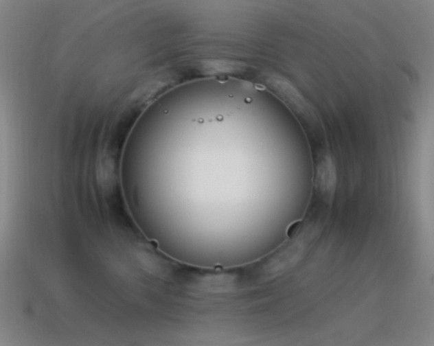 X0000115580426200911101152