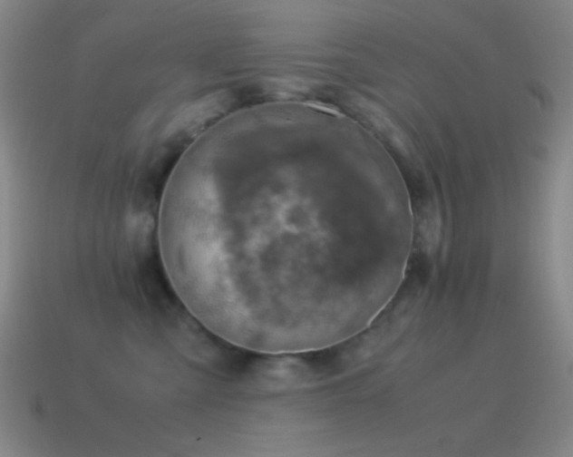 X0000115580427200911101152