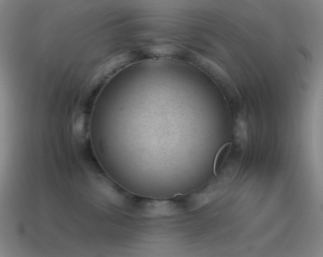 X0000115580428200911101152