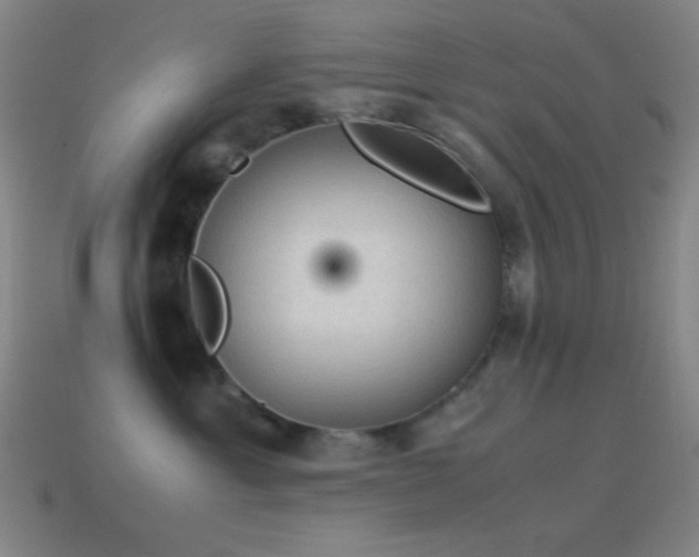 X0000115580429200911101152