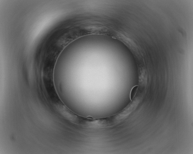 X0000115580430200911101152