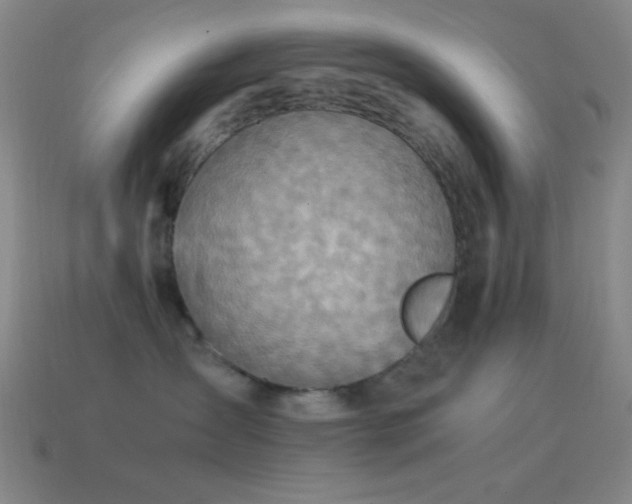 X0000115580431200911101152