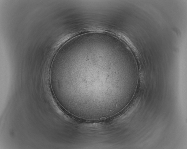 X0000115580433200911101151