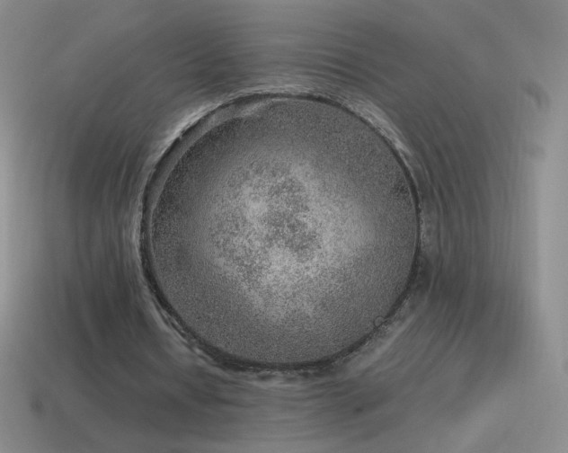 X0000115580434200911101151