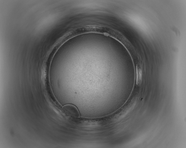 X0000115580435200911101151