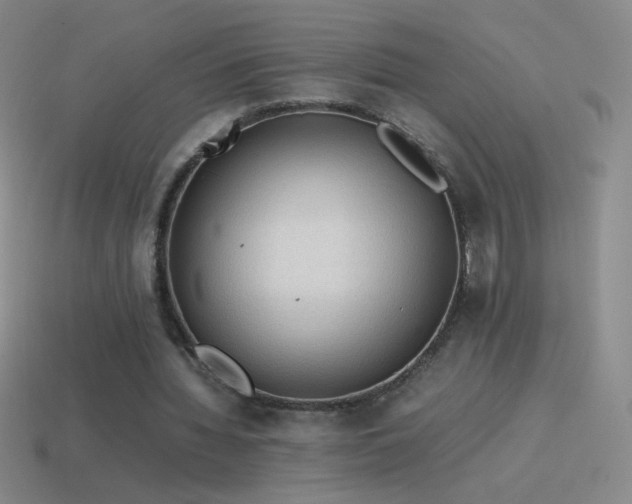 X0000115580436200911101151